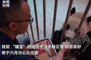 这下半场怎么打？猛龙上半场以78-43领先热火35分